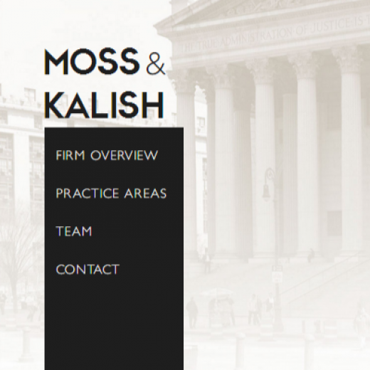 Moss & Kalish Pllc in New York City, New York, United States - #2 Photo of Point of interest, Establishment, Lawyer