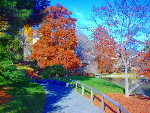 Brooklyn Botanic Garden Events in Brooklyn City, New York, United States - #4 Photo of Point of interest, Establishment, Park