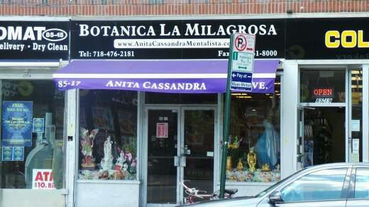Photo by Walkereighteen NYC for Botanica La Milagrosa