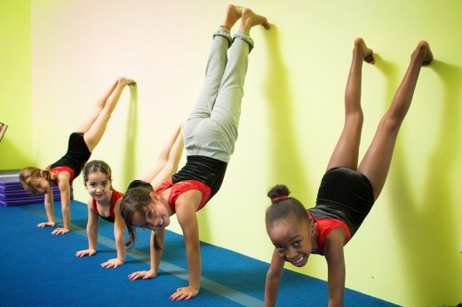 Prospect Gymnastics in Brooklyn City, New York, United States - #4 Photo of Point of interest, Establishment, Health, Gym
