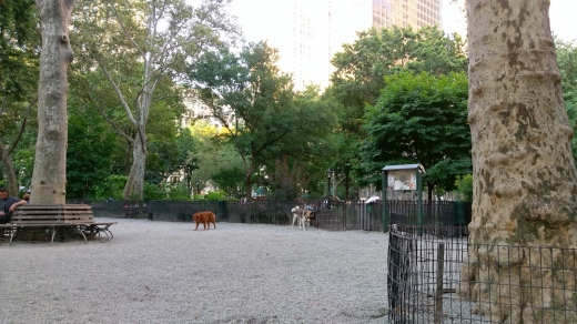 Madison Square Dog Run in New York City, New York, United States - #2 Photo of Point of interest, Establishment