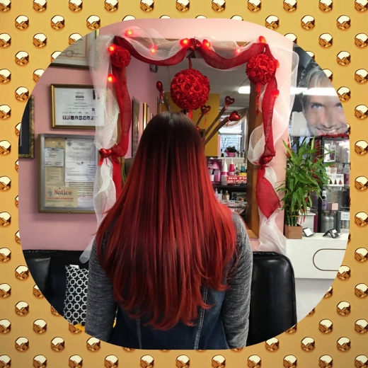 Photo by <br />
<b>Notice</b>:  Undefined index: user in <b>/home/www/activeuser/data/www/vaplace.com/core/views/default/photos.php</b> on line <b>128</b><br />
. Picture for Elena's Hair Salon in Lodi City, New Jersey, United States - Point of interest, Establishment, Beauty salon, Hair care