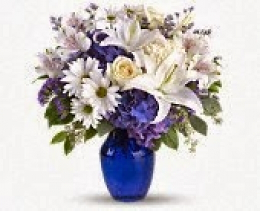 Photo by <br />
<b>Notice</b>:  Undefined index: user in <b>/home/www/activeuser/data/www/vaplace.com/core/views/default/photos.php</b> on line <b>128</b><br />
. Picture for Dee's Florist in Woodland Park City, New Jersey, United States - Point of interest, Establishment, Store, Florist