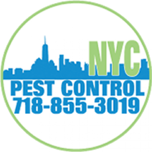 Photo by <br />
<b>Notice</b>:  Undefined index: user in <b>/home/www/activeuser/data/www/vaplace.com/core/views/default/photos.php</b> on line <b>128</b><br />
. Picture for NYC Pest Control in Kings County City, New York, United States - Point of interest, Establishment, Store, Home goods store
