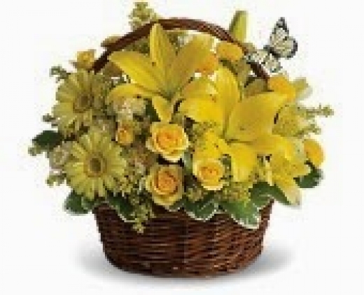 Photo by <br />
<b>Notice</b>:  Undefined index: user in <b>/home/www/activeuser/data/www/vaplace.com/core/views/default/photos.php</b> on line <b>128</b><br />
. Picture for Amour Florist in Keyport City, New Jersey, United States - Point of interest, Establishment, Store, Home goods store, Florist