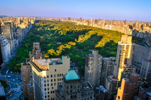 Weichert Corporate Housing in New York City, New York, United States - #3 Photo of Point of interest, Establishment