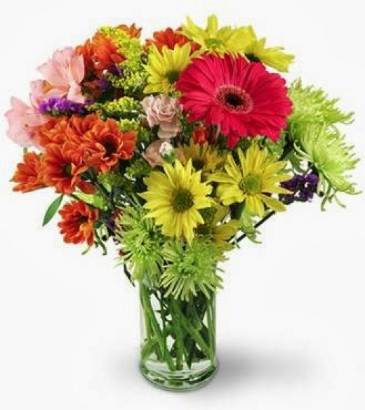 Photo by <br />
<b>Notice</b>:  Undefined index: user in <b>/home/www/activeuser/data/www/vaplace.com/core/views/default/photos.php</b> on line <b>128</b><br />
. Picture for Family Florist in Bayonne City, New Jersey, United States - Point of interest, Establishment, Store, Florist