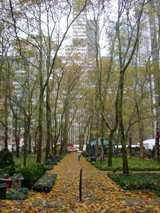 Photo by <br />
<b>Notice</b>:  Undefined index: user in <b>/home/www/activeuser/data/www/vaplace.com/core/views/default/photos.php</b> on line <b>128</b><br />
. Picture for NYC Tree Trimming and Removal Corporation. in New York City, New York, United States - Point of interest, Establishment, General contractor