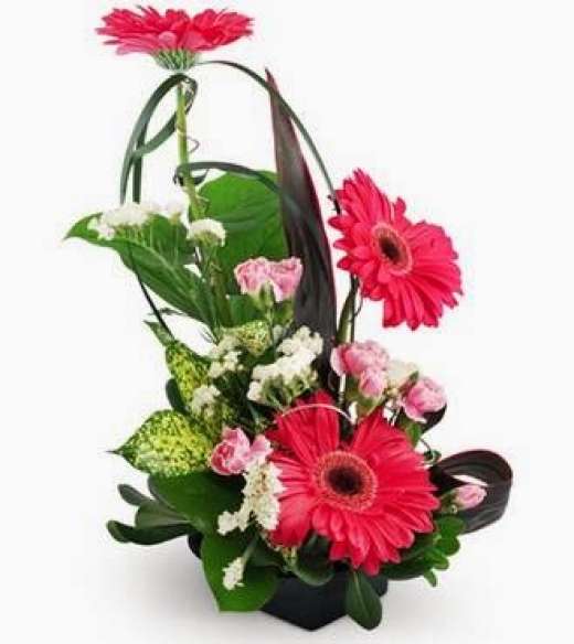Photo by <br />
<b>Notice</b>:  Undefined index: user in <b>/home/www/activeuser/data/www/vaplace.com/core/views/default/photos.php</b> on line <b>128</b><br />
. Picture for Cappelletti Florist Inc in Union City, New Jersey, United States - Point of interest, Establishment, Store, Florist
