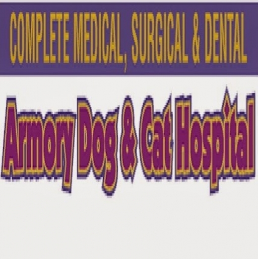 Photo by <br />
<b>Notice</b>:  Undefined index: user in <b>/home/www/activeuser/data/www/vaplace.com/core/views/default/photos.php</b> on line <b>128</b><br />
. Picture for Armory Dog & Cat Hospital in Bronx City, New York, United States - Point of interest, Establishment, Store, Health, Veterinary care