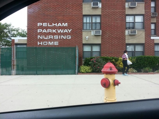 Photo by Richard Baez for Pelham Parkway Nursing Home