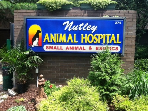 Photo by Nutley Animal Hospital for Nutley Animal Hospital