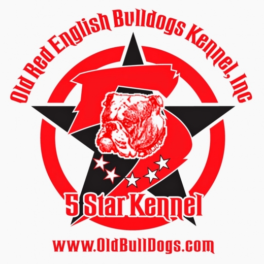 Photo by <br />
<b>Notice</b>:  Undefined index: user in <b>/home/www/activeuser/data/www/vaplace.com/core/views/default/photos.php</b> on line <b>128</b><br />
. Picture for OLD RED ENGLISH BULLDOGS KENNEL INC. in New York City, New York, United States - Point of interest, Establishment, Store, Pet store