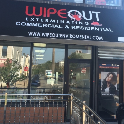 Wipeout Exterminating LLC in Kings County City, New York, United States - #1 Photo of Point of interest, Establishment, Store, Home goods store