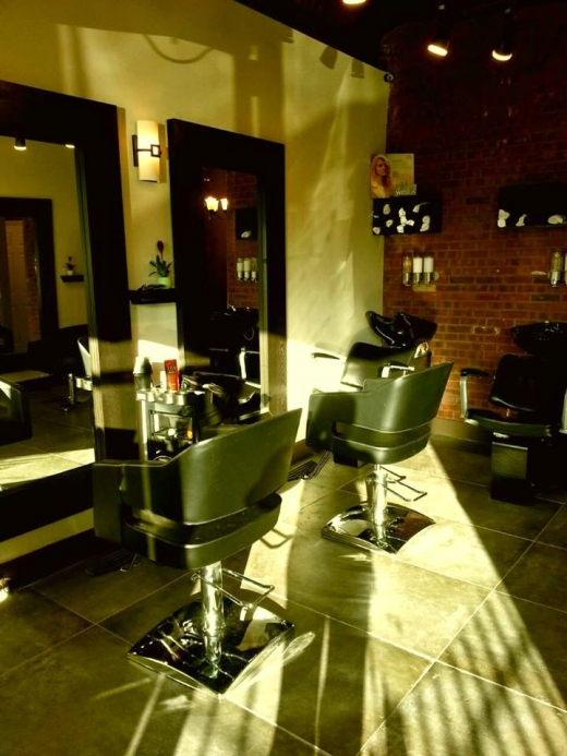 Photo by <br />
<b>Notice</b>:  Undefined index: user in <b>/home/www/activeuser/data/www/vaplace.com/core/views/default/photos.php</b> on line <b>128</b><br />
. Picture for RUSH HAIR STUDIO ,Balayage, Ombre Highlights, Hair Color, Highlights Color, in Astoria City, New York, United States - Point of interest, Establishment, Hair care