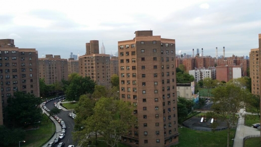 Photo by Pedro F Loveras for NYC Housing Baruch Houses
