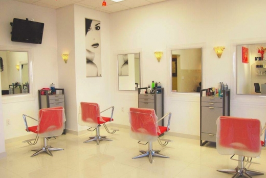 Madeleine Salon Spa in North Bergen City, New Jersey, United States - #2 Photo of Point of interest, Establishment, Health, Spa, Beauty salon