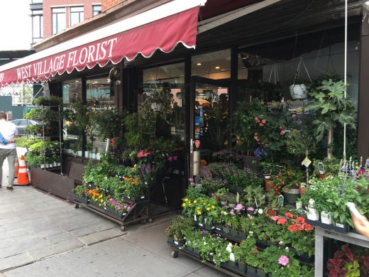 West Village Florists in New York City, New York, United States - #3 Photo of Point of interest, Establishment, Store, Florist