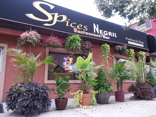 Spices Negril Restaurant & Lounge in South Hempstead City, New York, United States - #2 Photo of Restaurant, Food, Point of interest, Establishment, Bar, Night club