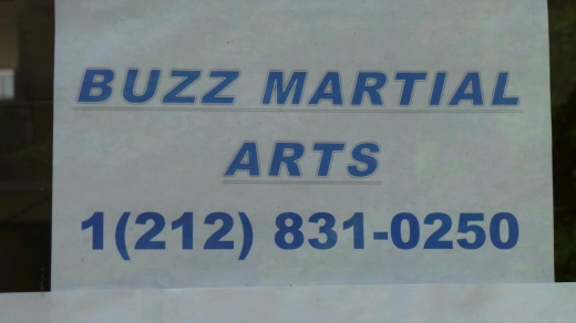 Buzz Martial Arts LLC in New York City, New York, United States - #2 Photo of Point of interest, Establishment, Health