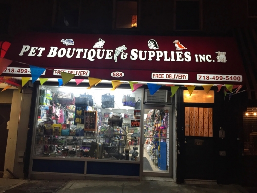 Pet boutique and supplies in Kings County City, New York, United States - #1 Photo of Point of interest, Establishment, Store
