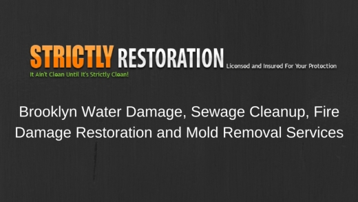 Photo by <br />
<b>Notice</b>:  Undefined index: user in <b>/home/www/activeuser/data/www/vaplace.com/core/views/default/photos.php</b> on line <b>128</b><br />
. Picture for Strictly Restoration in Kings County City, New York, United States - Point of interest, Establishment, General contractor