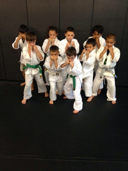 Photo by <br />
<b>Notice</b>:  Undefined index: user in <b>/home/www/activeuser/data/www/vaplace.com/core/views/default/photos.php</b> on line <b>128</b><br />
. Picture for Jungle Gym Martial Arts - New Rochelle in New Rochelle City, New York, United States - Point of interest, Establishment, Health, Gym