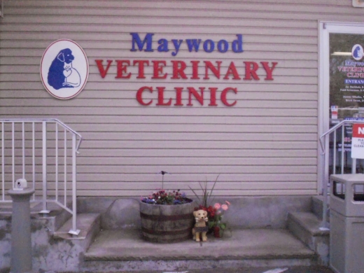 Maywood Veterinary Clinic in Maywood City, New Jersey, United States - #2 Photo of Point of interest, Establishment, Veterinary care