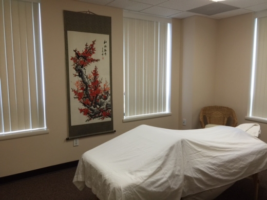 Holmdel Acupuncture & Herbal Medicine Center in Holmdel City, New Jersey, United States - #2 Photo of Point of interest, Establishment, Health