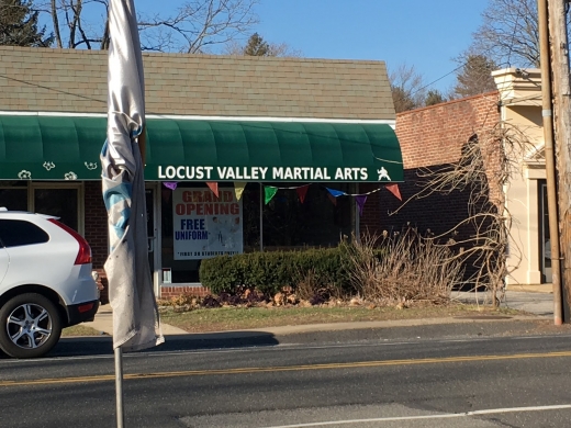 Photo by Andrew Themis for Locust Valley Martial Arts