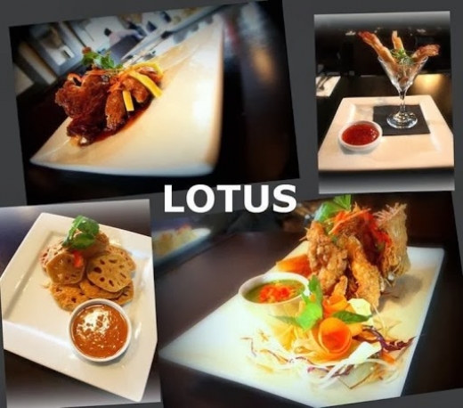Lotus Thai Cuisine in Guttenberg City, New Jersey, United States - #4 Photo of Restaurant, Food, Point of interest, Establishment