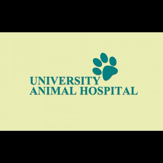 University Animal Hospital in Uniondale City, New York, United States - #2 Photo of Point of interest, Establishment, Veterinary care