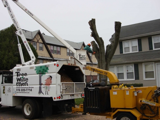 The Tree Wise Men in Rockville Centre City, New York, United States - #2 Photo of Point of interest, Establishment