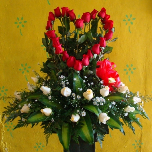 Photo by <br />
<b>Notice</b>:  Undefined index: user in <b>/home/www/activeuser/data/www/vaplace.com/core/views/default/photos.php</b> on line <b>128</b><br />
. Picture for Floristeria Diana in Paterson City, New Jersey, United States - Point of interest, Establishment, Store, Florist