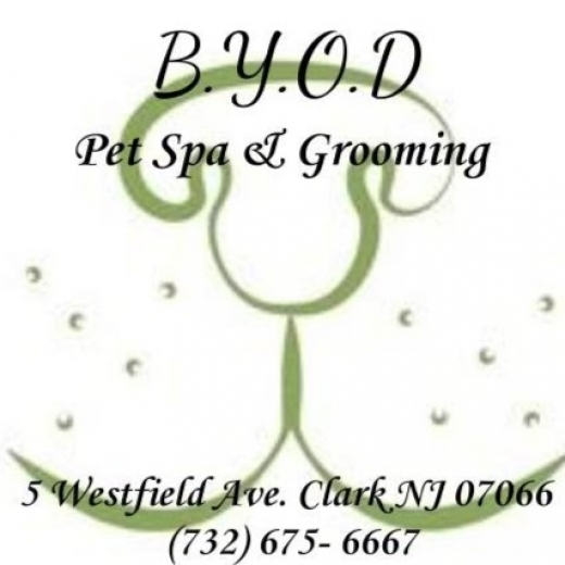 BYOD pet spa and grooming in Clark City, New Jersey, United States - #1 Photo of Point of interest, Establishment