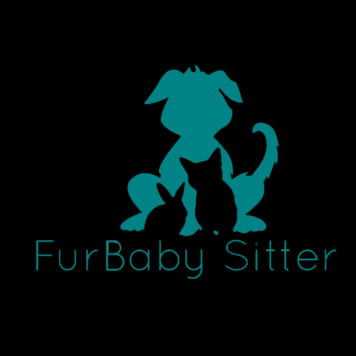 Photo by FurBaby Sitter for FurBaby Sitter