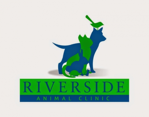 Riverside Veterinary Clinic in New York City, New York, United States - #4 Photo of Point of interest, Establishment, Veterinary care