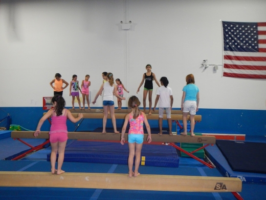Photo by <br />
<b>Notice</b>:  Undefined index: user in <b>/home/www/activeuser/data/www/vaplace.com/core/views/default/photos.php</b> on line <b>128</b><br />
. Picture for Riverview Gymnastics in Wayne City, New Jersey, United States - Point of interest, Establishment, Health, Gym