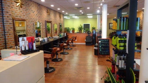 Tribeca Salon and Spa in Great Neck City, New York, United States - #4 Photo of Point of interest, Establishment, Hair care
