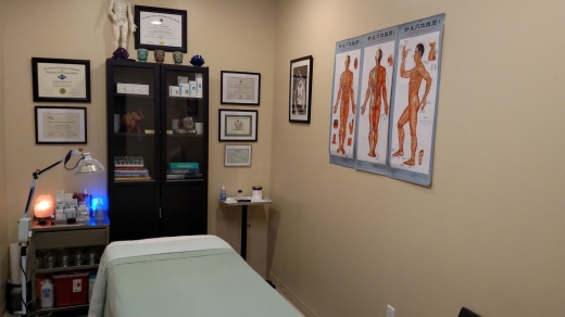 Bloomfield Alternative Health - Acupuncture Medicine Therapy | Acupuncture Therapist in Great Neck City, New York, United States - #1 Photo of Point of interest, Establishment, Health