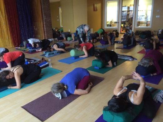 Tovami Yoga in Mamaroneck City, New York, United States - #2 Photo of Point of interest, Establishment, Health, Gym