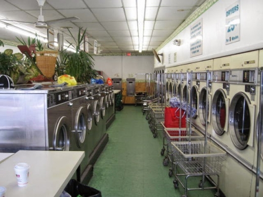 Photo by <br />
<b>Notice</b>:  Undefined index: user in <b>/home/www/activeuser/data/www/vaplace.com/core/views/default/photos.php</b> on line <b>128</b><br />
. Picture for Village Launderette in Eastchester City, New York, United States - Point of interest, Establishment, Laundry