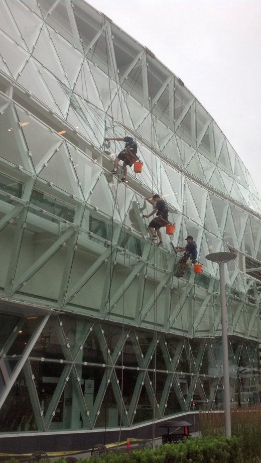 Window Cleaning in New York City, New York, United States - #3 Photo of Point of interest, Establishment