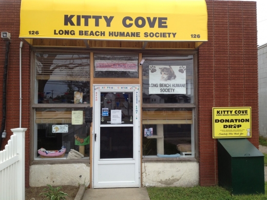 Photo by Long Beach Humane Society Kitty Cove for Long Beach Humane Society Kitty Cove