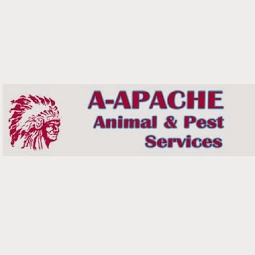 Photo by A-Apache Animal & Pest Services for A-Apache Animal & Pest Services