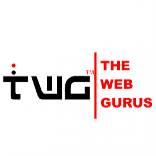 The Web Gurus LLC in Newark City, New Jersey, United States - #4 Photo of Point of interest, Establishment
