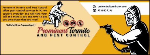 Prominent Termite And Pest Control in Paterson City, New Jersey, United States - #1 Photo of Point of interest, Establishment, Store, Home goods store