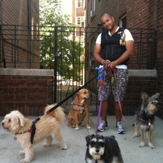 Hot Paws Pet Care in New York City, New York, United States - #1 Photo of Point of interest, Establishment