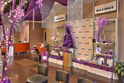 Maximus Spa / Salon in Carle Place City, New York, United States - #2 Photo of Point of interest, Establishment, Beauty salon