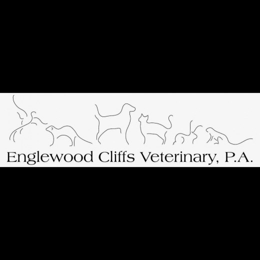 Englewood Cliffs Veterinary, PA in Englewood Cliffs City, New Jersey, United States - #4 Photo of Point of interest, Establishment, Veterinary care